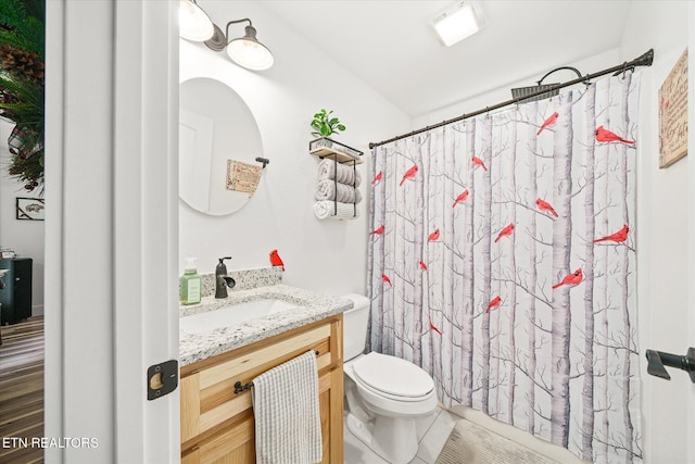 191 Creekview Ct, Jamestown, TN 38556 - bathroom featuring toilet, vanity, and curtained shower