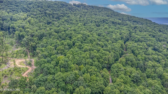 56 Timber Rdg, Pikeville, TN 37367
