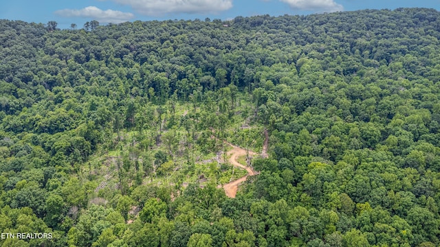 56 Timber Rdg, Pikeville, TN 37367