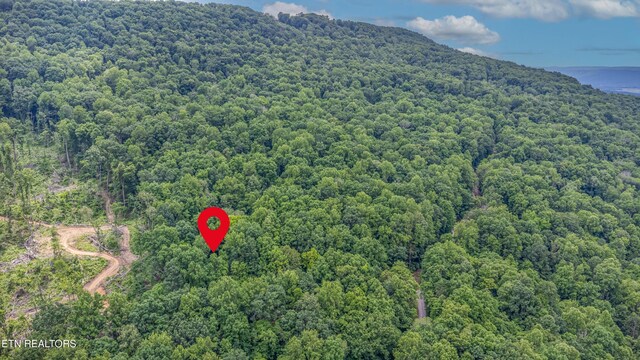 56 Timber Rdg, Pikeville, TN 37367