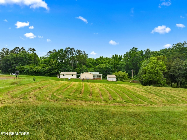 321 Ailey Rd, Dandridge, TN 37725 - view of green lawn with a view of rural / pastoral area and a view of trees