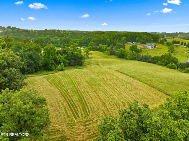 321 Ailey Rd, Dandridge, TN 37725 - aerial view of sparsely populated area