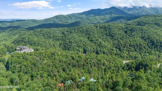 1613 Misty Hollow Way, Gatlinburg, TN 37738 - photo 40