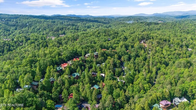 1613 Misty Hollow Way, Gatlinburg, TN 37738 - photo 41