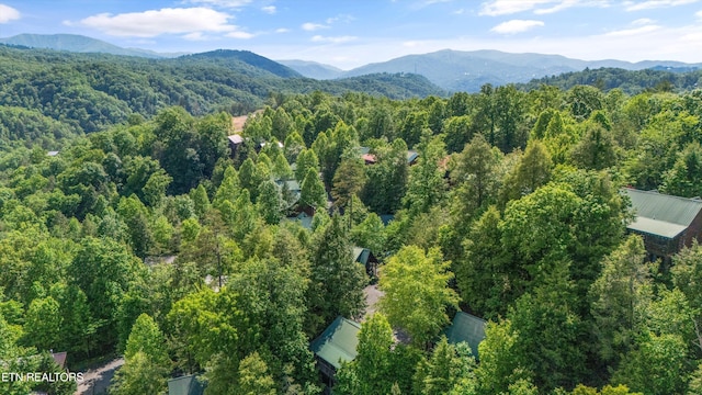 1613 Misty Hollow Way, Gatlinburg, TN 37738 - photo 42
