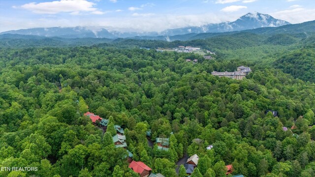 1613 Misty Hollow Way, Gatlinburg, TN 37738 - photo 43