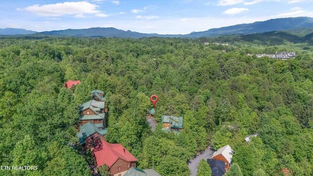 1613 Misty Hollow Way, Gatlinburg, TN 37738 - photo 39