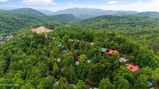 1613 Misty Hollow Way, Gatlinburg, TN 37738 - photo 44