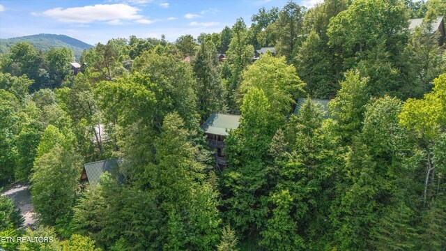 1613 Misty Hollow Way, Gatlinburg, TN 37738 - photo 45