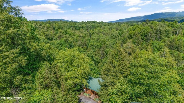 1613 Misty Hollow Way, Gatlinburg, TN 37738 - photo 46