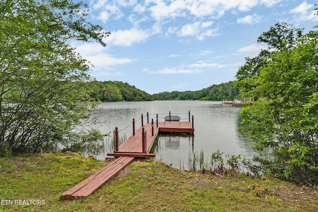 26 Hunterwood Ct, Crossville, TN 38558 - photo 14