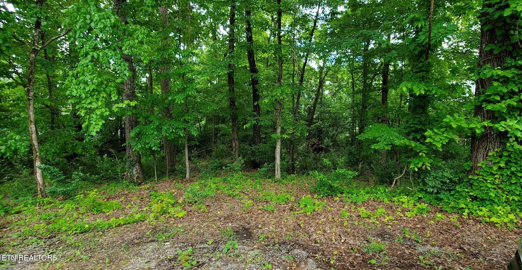 121 Ootsima Way, Loudon, TN 37774