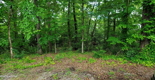 121 Ootsima Way, Loudon, TN 37774