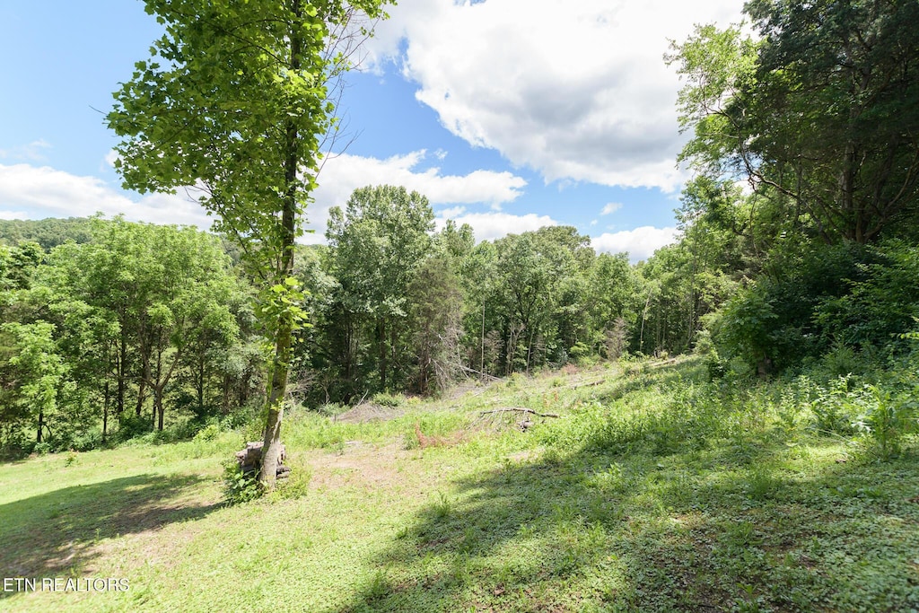 Hidden Valley Rd, Clinton, TN 37716 - photo 1