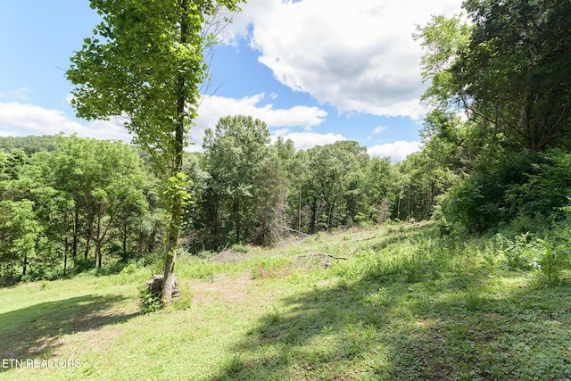 Hidden Valley Rd, Clinton, TN 37716 - photo 1