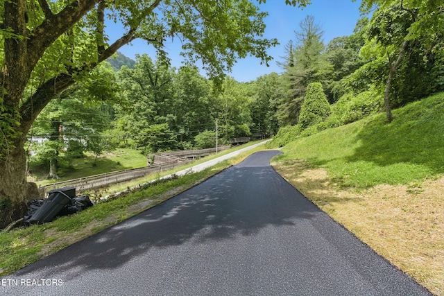 335 Hillcrest Dr, Cumberland Gap, TN 37724 - photo 28