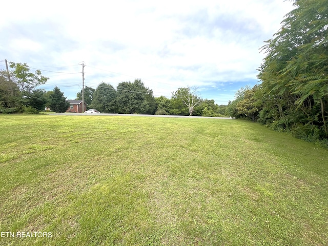 1026 Lees Dr, Seymour, TN 37865 - photo 29