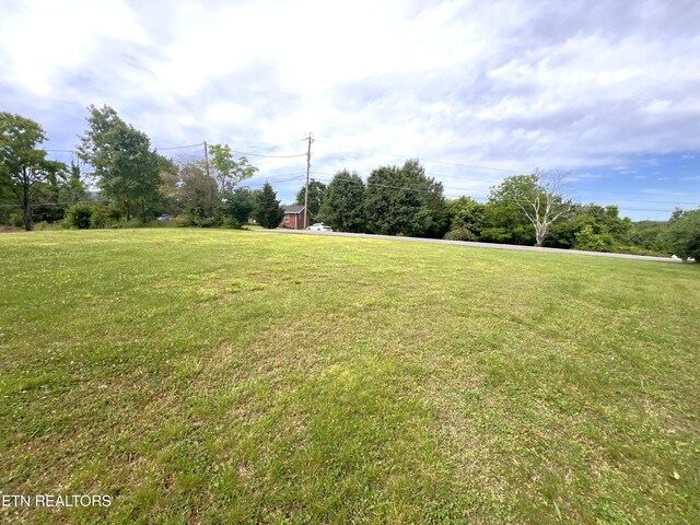 1026 Lees Dr, Seymour, TN 37865 - photo 30