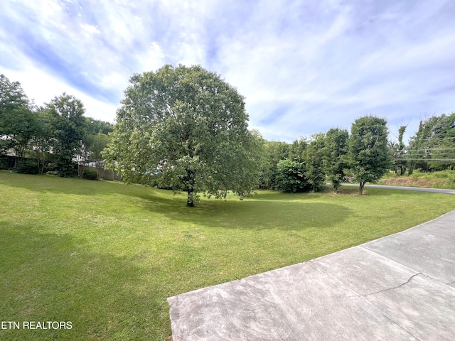 1026 Lees Dr, Seymour, TN 37865 - photo 31