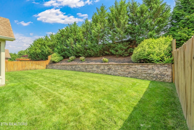 12084 Woodhollow Ln, Knoxville, TN 37932 - photo 4