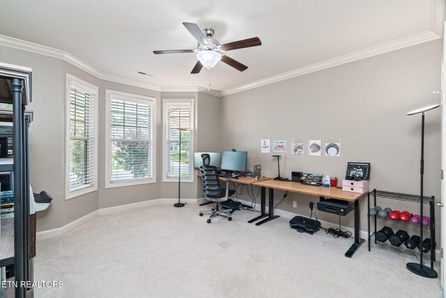 12084 Woodhollow Ln, Knoxville, TN 37932 - photo 17