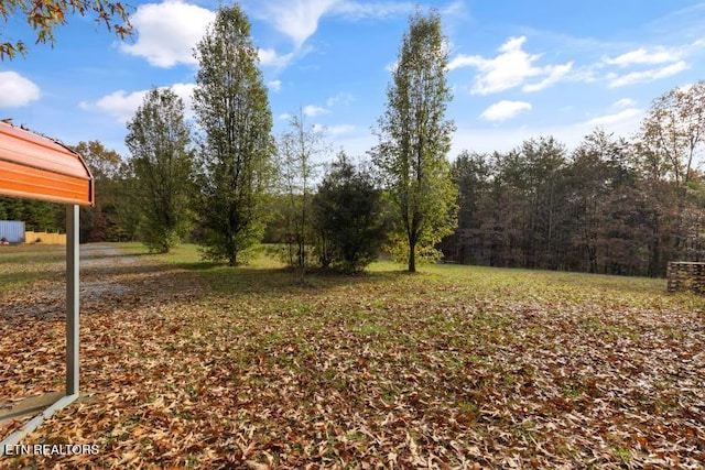 1477 Womac Hollow Rd, Ten Mile, TN 37880 - view of yard