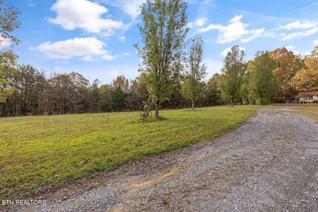 1477 Womac Hollow Rd, Ten Mile, TN 37880 - view of dirt / gravel road featuring a view of trees