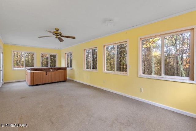 1477 Womac Hollow Rd, Ten Mile, TN 37880 - unfurnished living room featuring baseboards, light colored carpet, and healthy amount of natural light