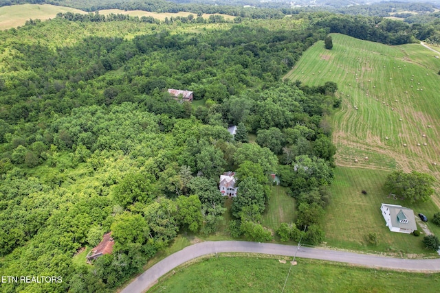4245 Dulaney Rd, Greeneville, TN 37743 - photo 28