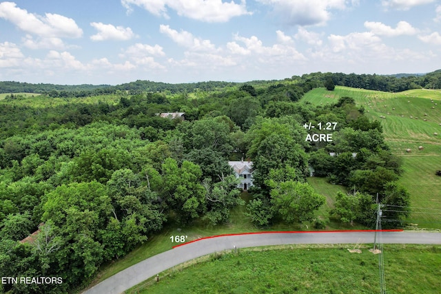 4245 Dulaney Rd, Greeneville, TN 37743 - photo 29