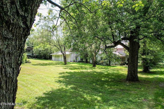 4245 Dulaney Rd, Greeneville, TN 37743 - photo 37