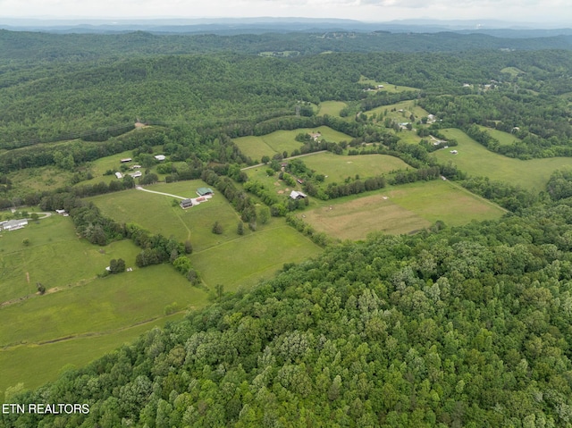 1055 Laurel Bluff Rd, Kingston, TN 37763 - photo 32