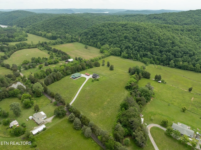 1055 Laurel Bluff Rd, Kingston, TN 37763 - photo 28