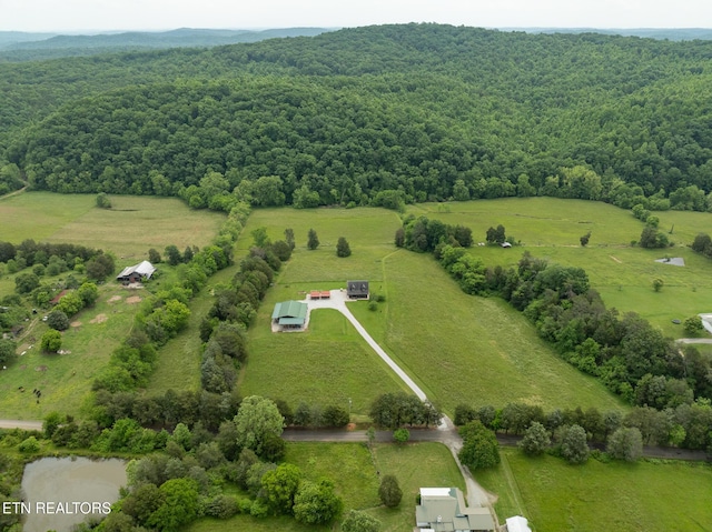 1055 Laurel Bluff Rd, Kingston, TN 37763 - photo 29