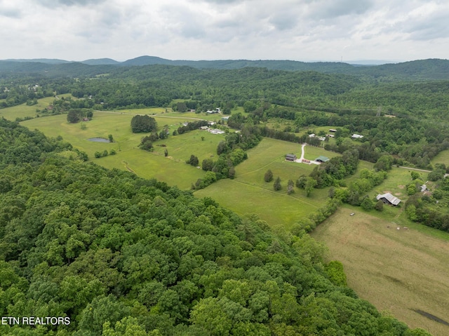 1055 Laurel Bluff Rd, Kingston, TN 37763 - photo 35