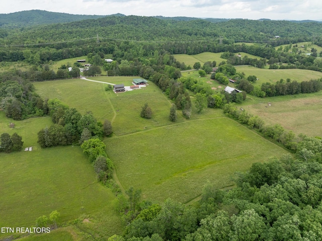1055 Laurel Bluff Rd, Kingston, TN 37763 - photo 34