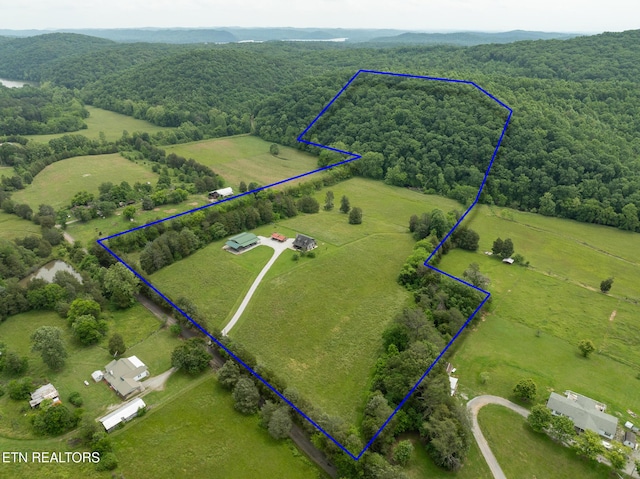 1055 Laurel Bluff Rd, Kingston, TN 37763 - photo 2