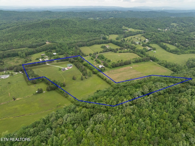 1055 Laurel Bluff Rd, Kingston, TN 37763 - photo 33