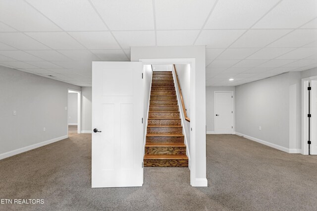 6305 Glen Eagle Ln, Knoxville, TN 37921 - stairs featuring carpet flooring, a drop ceiling, and baseboards