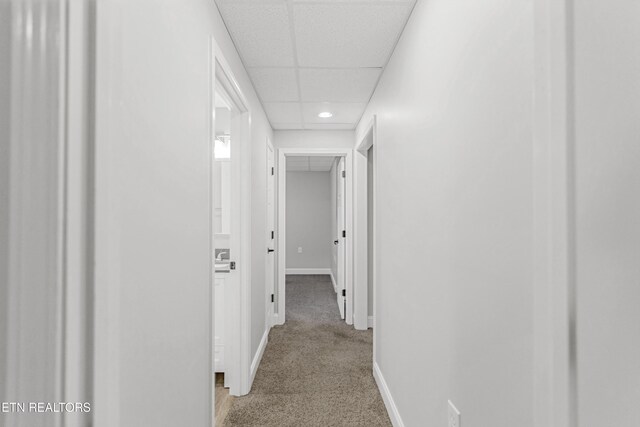 6305 Glen Eagle Ln, Knoxville, TN 37921 - hallway featuring baseboards, light colored carpet, a drop ceiling, and recessed lighting