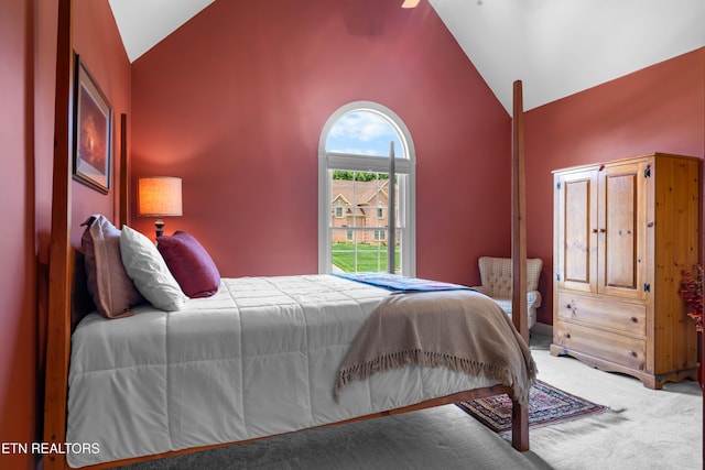 12912 Long Ridge Rd, Knoxville, TN 37934 - bedroom with lofted ceiling and carpet floors