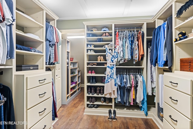 12912 Long Ridge Rd, Knoxville, TN 37934 - walk in closet with wood finished floors