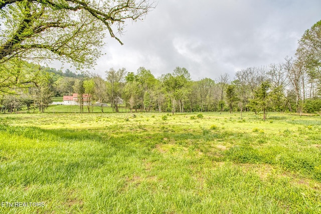 831 W Ford Valley Rd, Knoxville, TN 37920 - photo 31