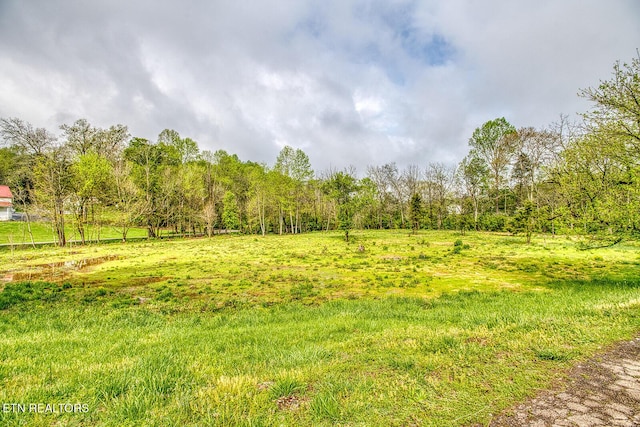 831 W Ford Valley Rd, Knoxville, TN 37920 - photo 32