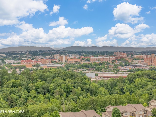 3950 Cherokee Woods Way Unit 105, Knoxville, TN 37920 - view of urban area featuring a mountainous background