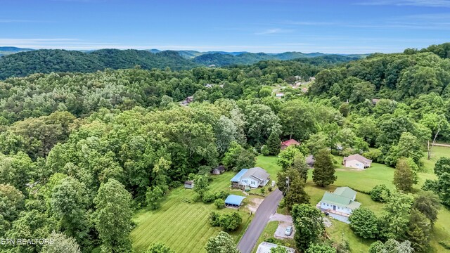231 Elvin Hill Rd, Andersonville, TN 37705 - photo 28