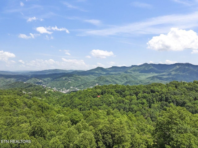 1143 Upper Alpine Way Unit 1, Gatlinburg, TN 37738 - photo 35