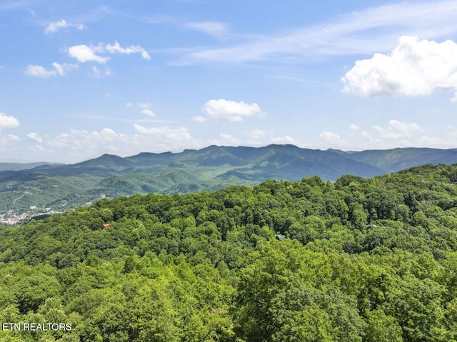 1143 Upper Alpine Way Unit 1, Gatlinburg, TN 37738 - photo 36
