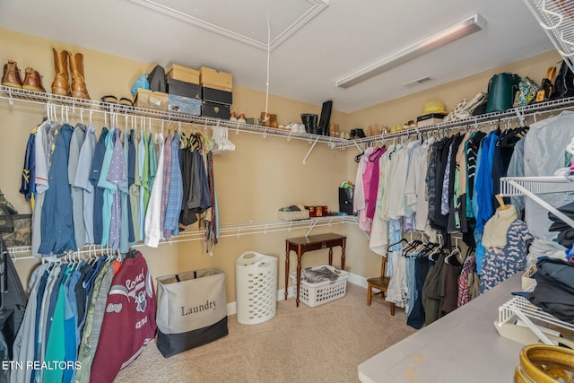 3210 Gazebo Point Way, Knoxville, TN 37920 - walk in closet featuring attic access and carpet floors