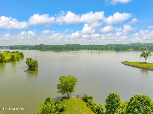 3210 Gazebo Point Way, Knoxville, TN 37920 - water view